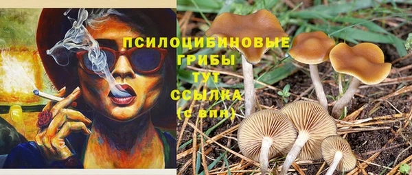 мет Баксан